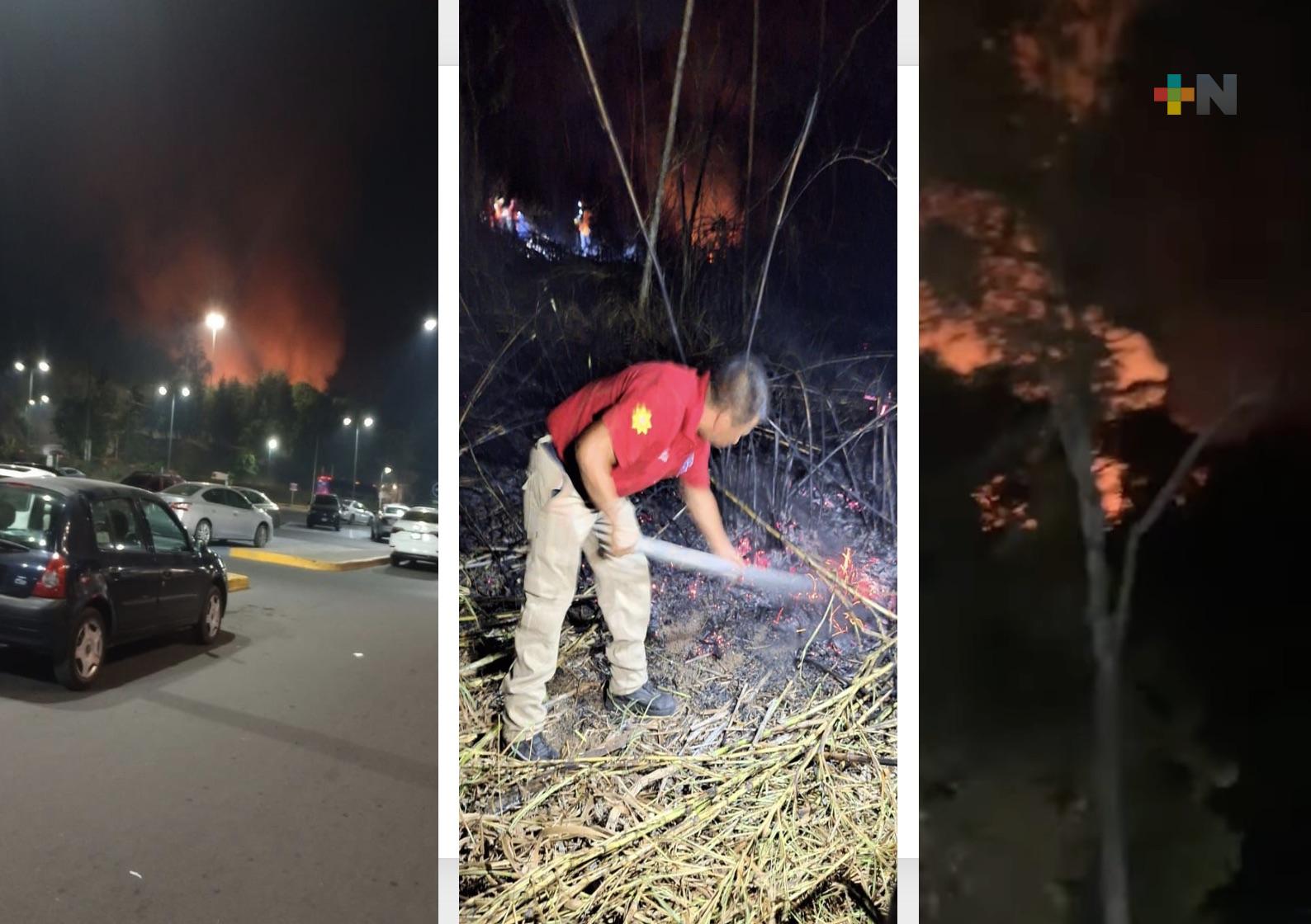 Liquidado incendio en predio colindante al parque Natura de Xalapa: Sedema